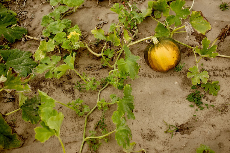 20150801_209